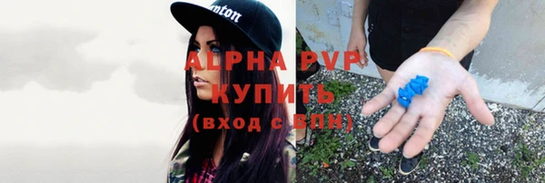 сатива Осинники