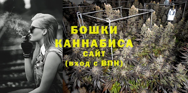 сатива Осинники