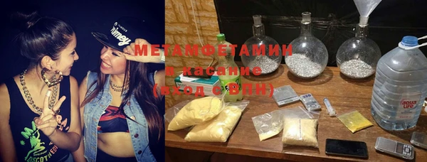 сатива Осинники